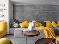 純干貨！家里有寵物的十個裝飾小建議